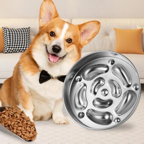 best slow feeder dog bowl