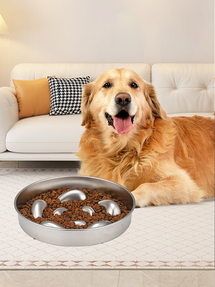 feeder bowl for small dog 